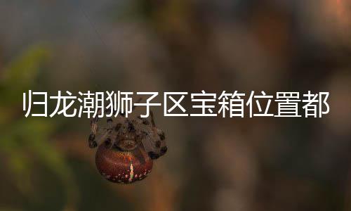 宝箱哪里区宝子区置分都在位置潮狮龙潮箱位享归龙 归狮子